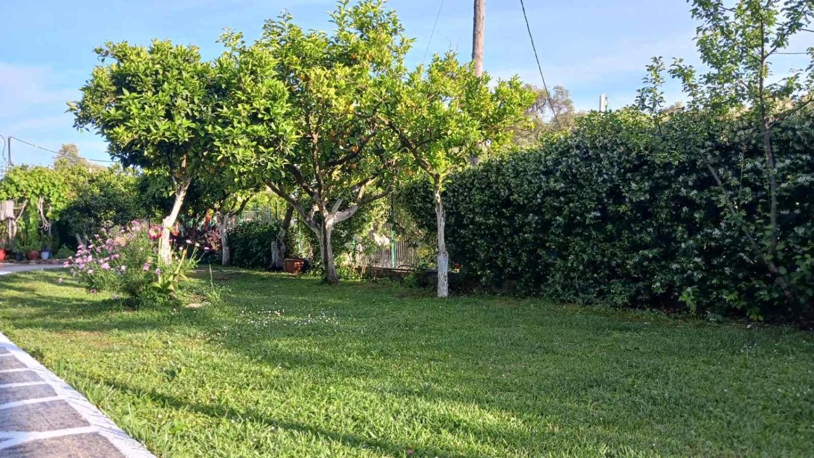 Villa Ioannidis Parga Dış mekan fotoğraf